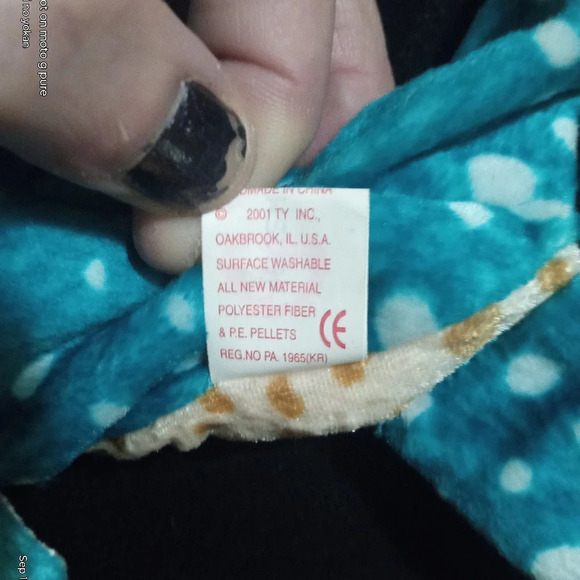 Poseidon the Whale Shark - Picture 9 of 9